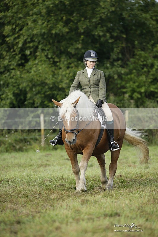 BVRC 120921 8 - Bourne Valley Riding Club UA Dressage & Show Jumping 12/09/21