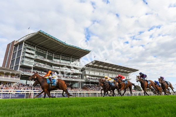 230923-Race 4-Aphelios-3268 - Race 4 3.45pm Jigsaw Sports Branding Handicap