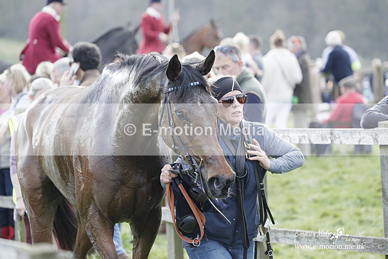 PtP 080423 439 - Dingley Races The Woodland Pytchley Hunt PtP 08/04/23