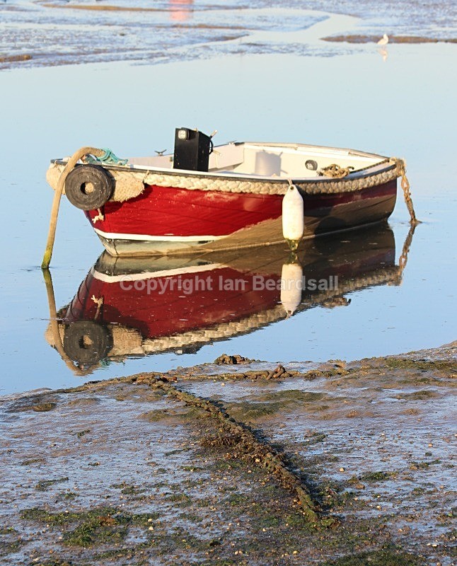 IMG_4784 - Essex