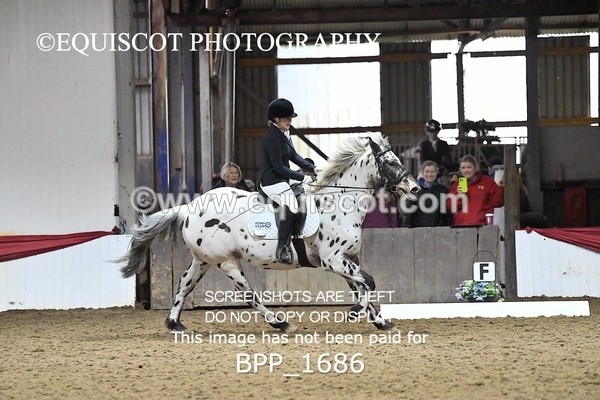 BPP_1686 - PC NOVICE DRESSAGE