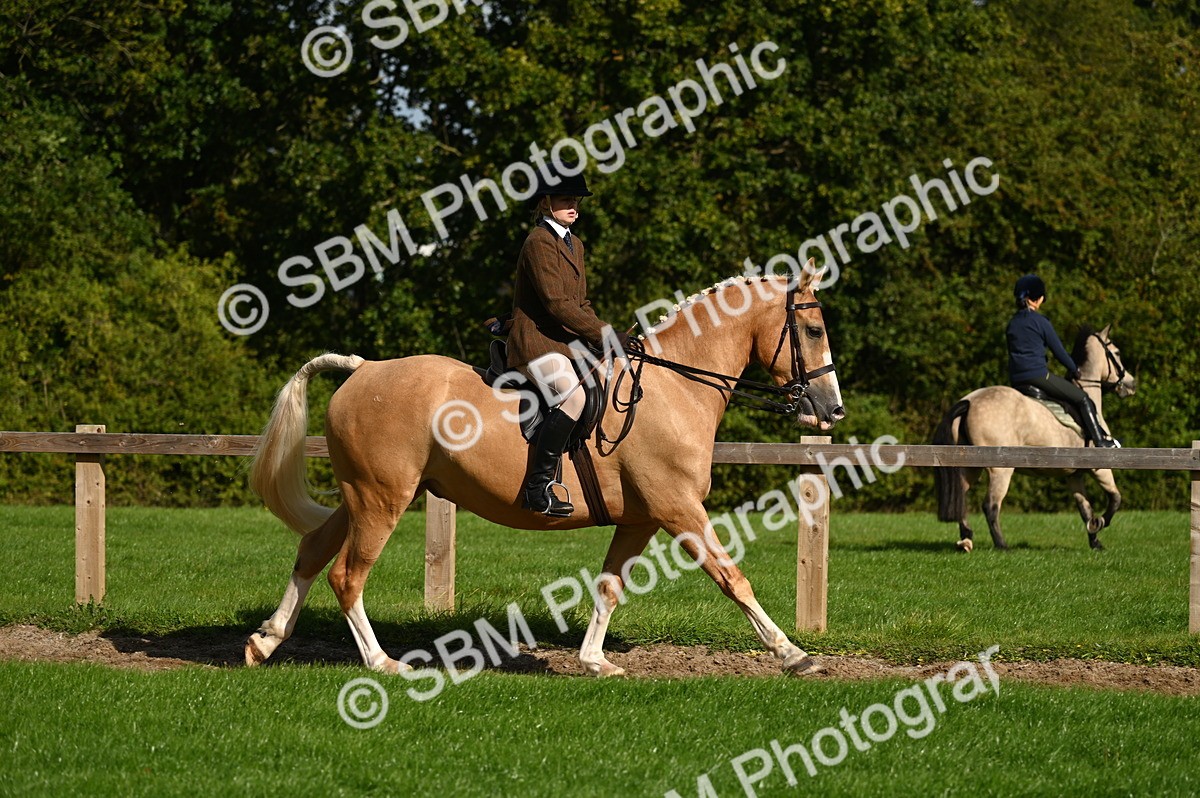 SBM_01422 - S2 - TSR Ridden Horse Showing