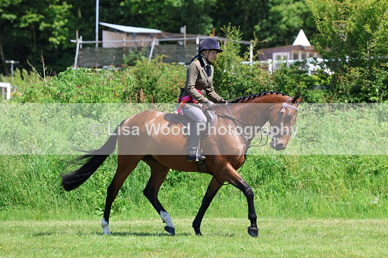 3E7A8032 - Working Hunter Championship