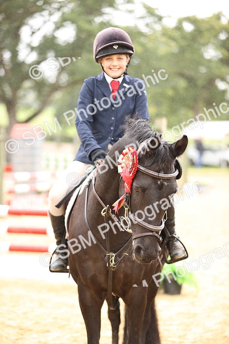 SBM_70081 - Supreme Championship 80cm 85cm