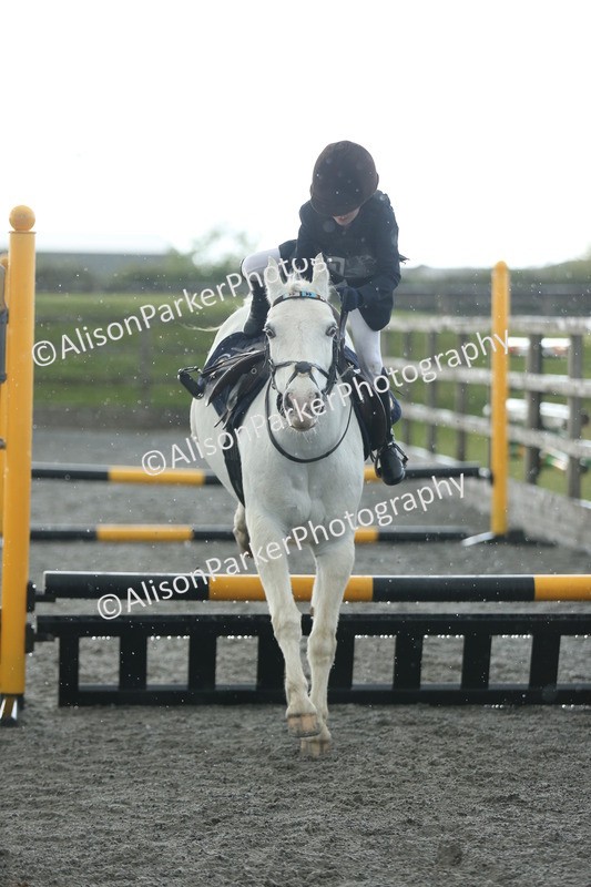 20260412-1935 - Show Jumping