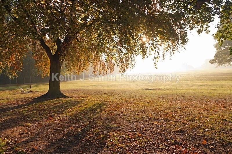 YR6M2597 (RM) - Abington Park & Northampton Town.