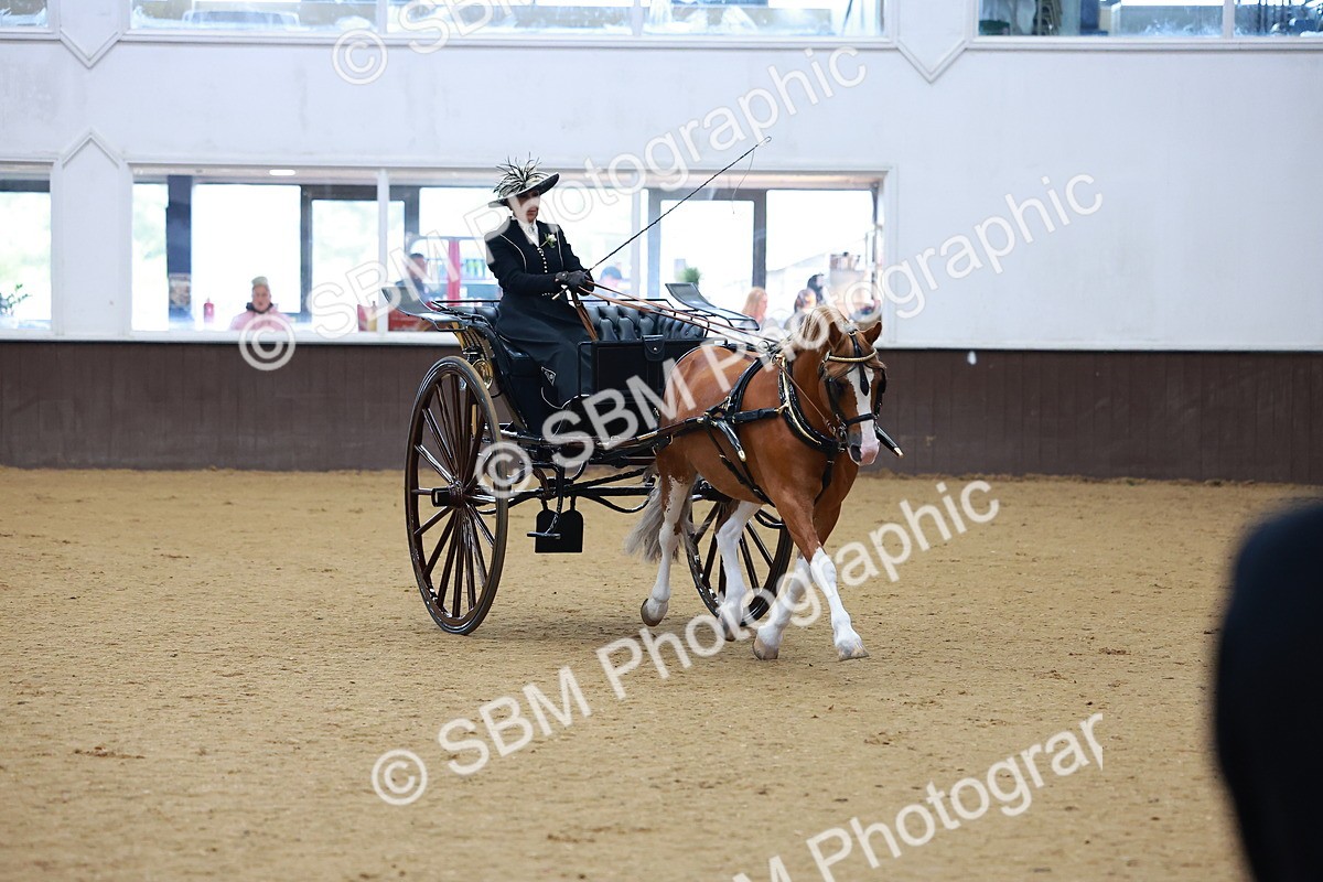 SBM_000047 - Class 1 - Non Hackney Private Drive 13.2hh and Under