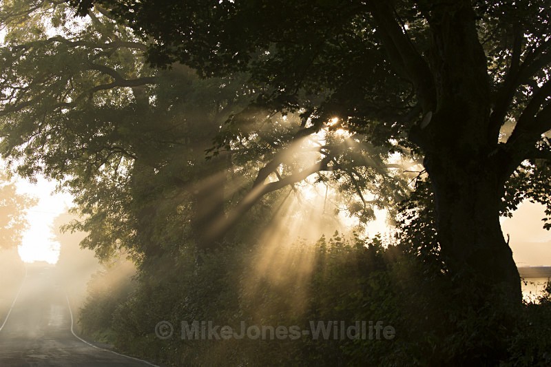 471A5881 - ANGLESEY @ NORTH WALES LANDSCAPE PHOTOGRAPHY