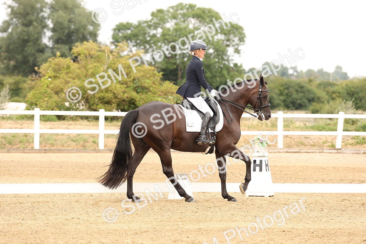 SBM_001353