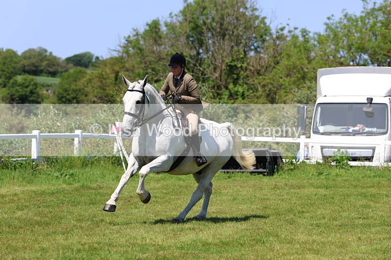 3E7A8378 - Class 13: Ridden Hunter