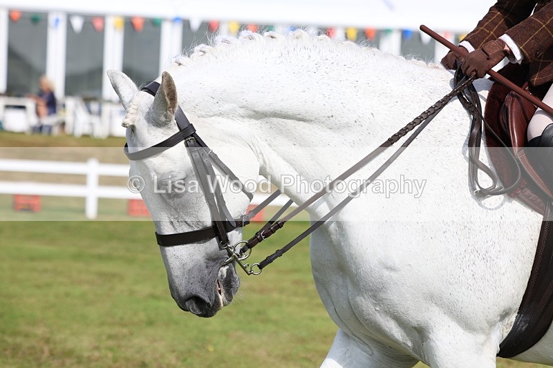 3E7A8903 - Class 3: Rising Star S/L Hunter