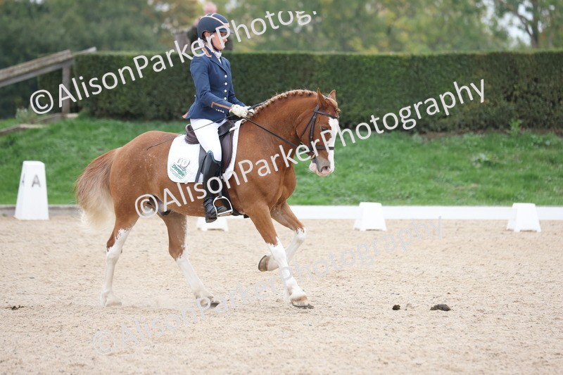 20251011-0359 - Class 3 - Prelim 2