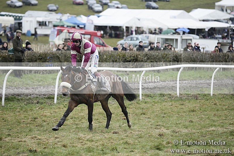 PtP 020418 -503 - Old Berks Point-to-Point Races Easter Monday 02/04/18