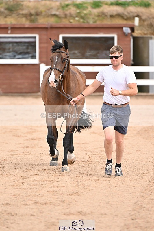 250716-150707-01636 - Trot Up 2.30 to 3.30