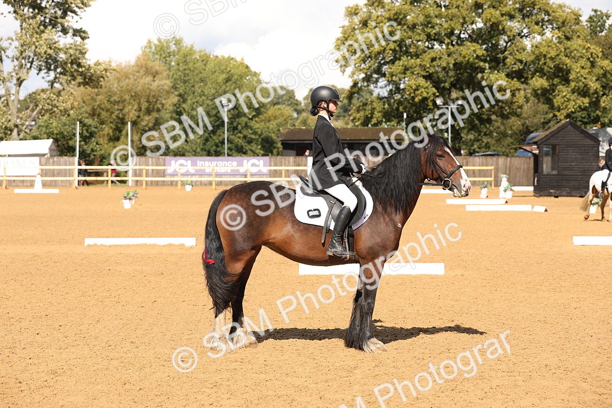 SBM_44205 - D6 - Small Tour Championship Intro 4
