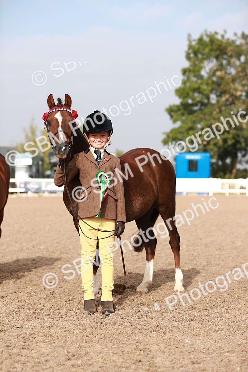 SBM_09941 - Class 203 Young Handler, 10 years and under