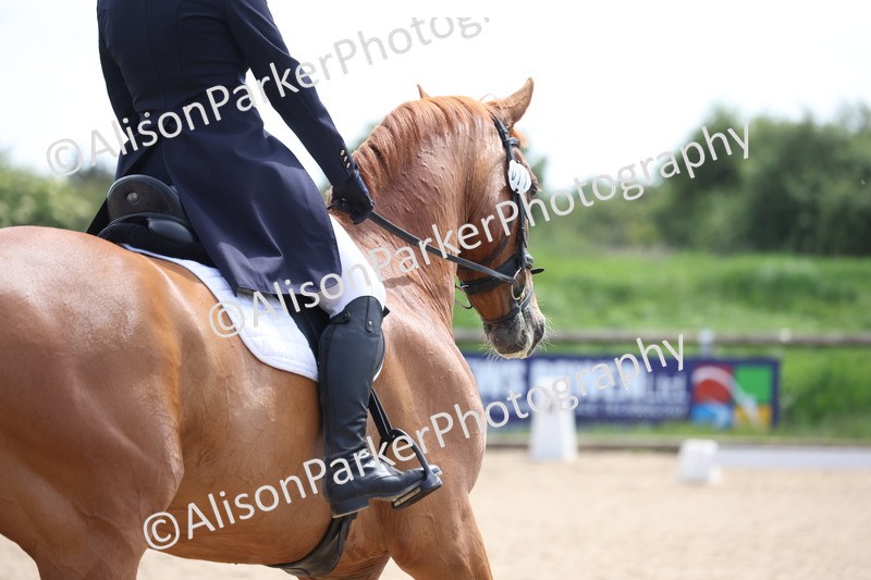 20250520-0631 - Class 4 - Novice 1