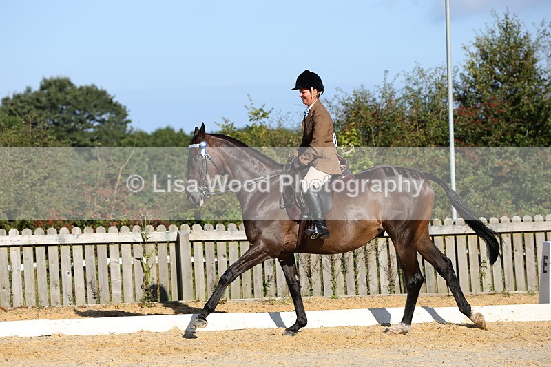 1X9A7600 - Class 7: Novice Ridden Hunter/Hack/Cob/Riding Horse
