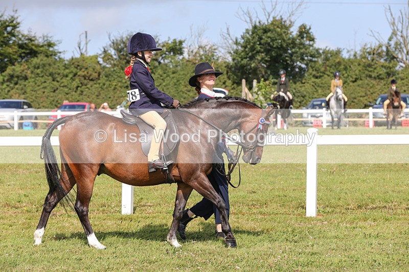 1X9A3539 - Class 29: Lead Rein SP/SHP
