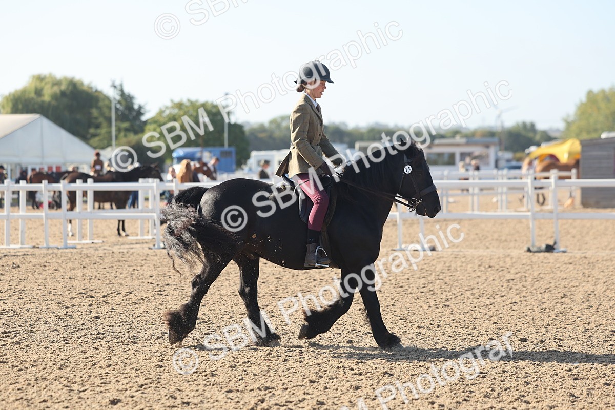 SBM_22166 - Class 802 - Ridden Groom Helpers Class