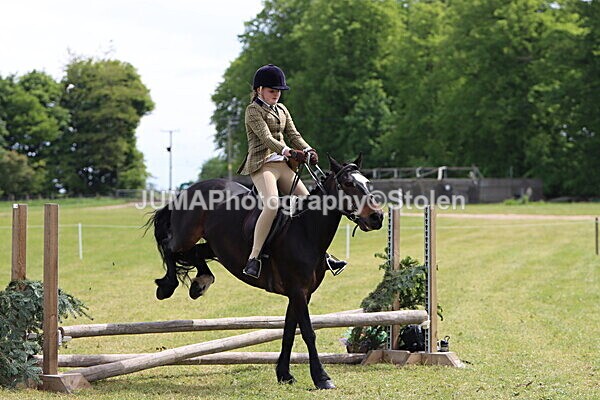 IMG_3131 - Working Hunter