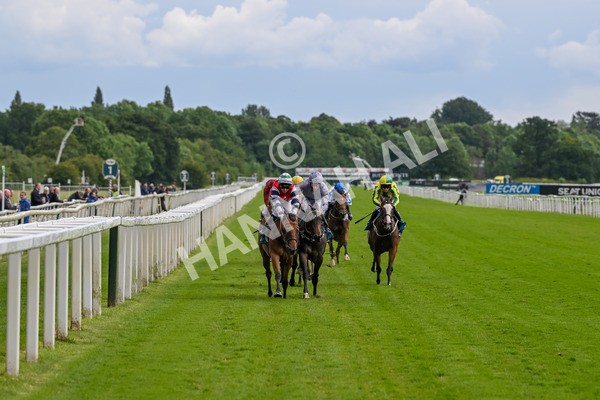 140624-Race 4-Havana Gila-4448 - Race 4 3.35pm Seat Unique Ganton Stakes