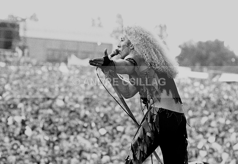 TWISTED SISTER - T..
