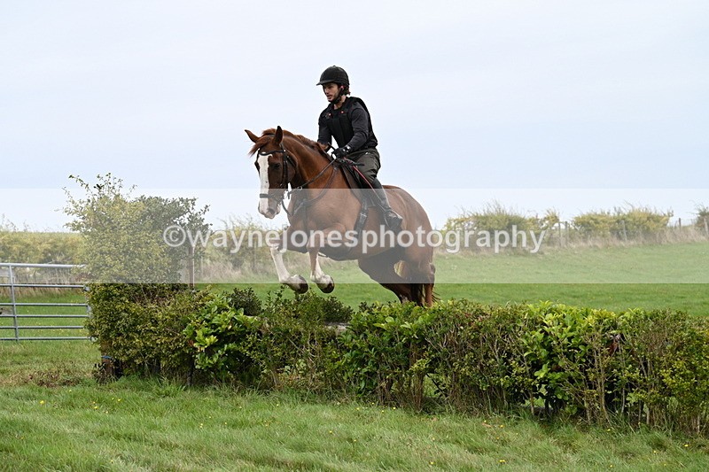 WJ7_8323 - Time 12:00 to 12:21