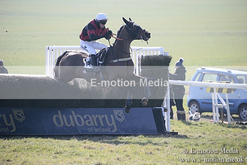 PtP 240218 44 - Vine & Craven Hunt Point-to-Point Barbury racecourse 24/02/18