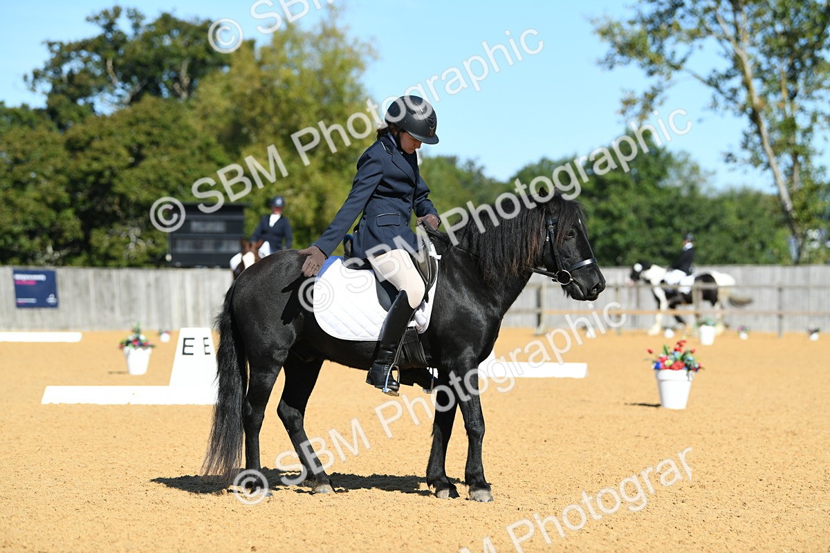 SBM_18200 - D4 - Small Tour Championship - Intro B