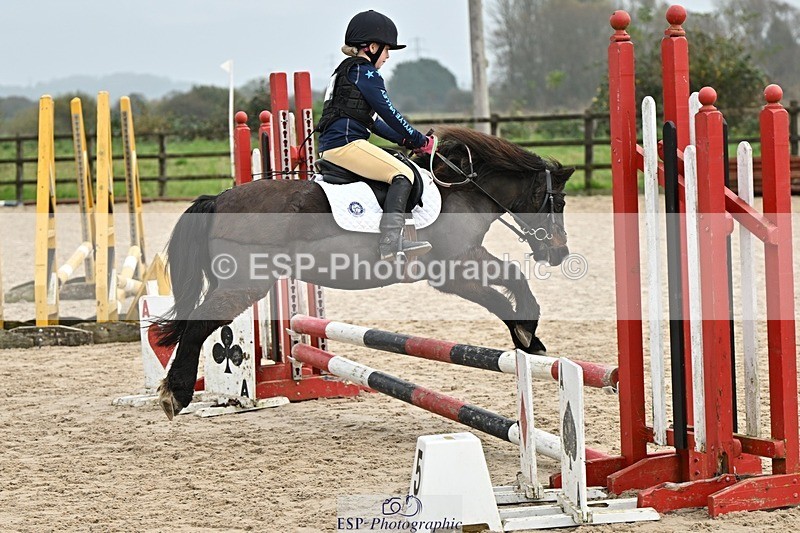 241110-111135-00357 - 50-55cm Arena Eventing