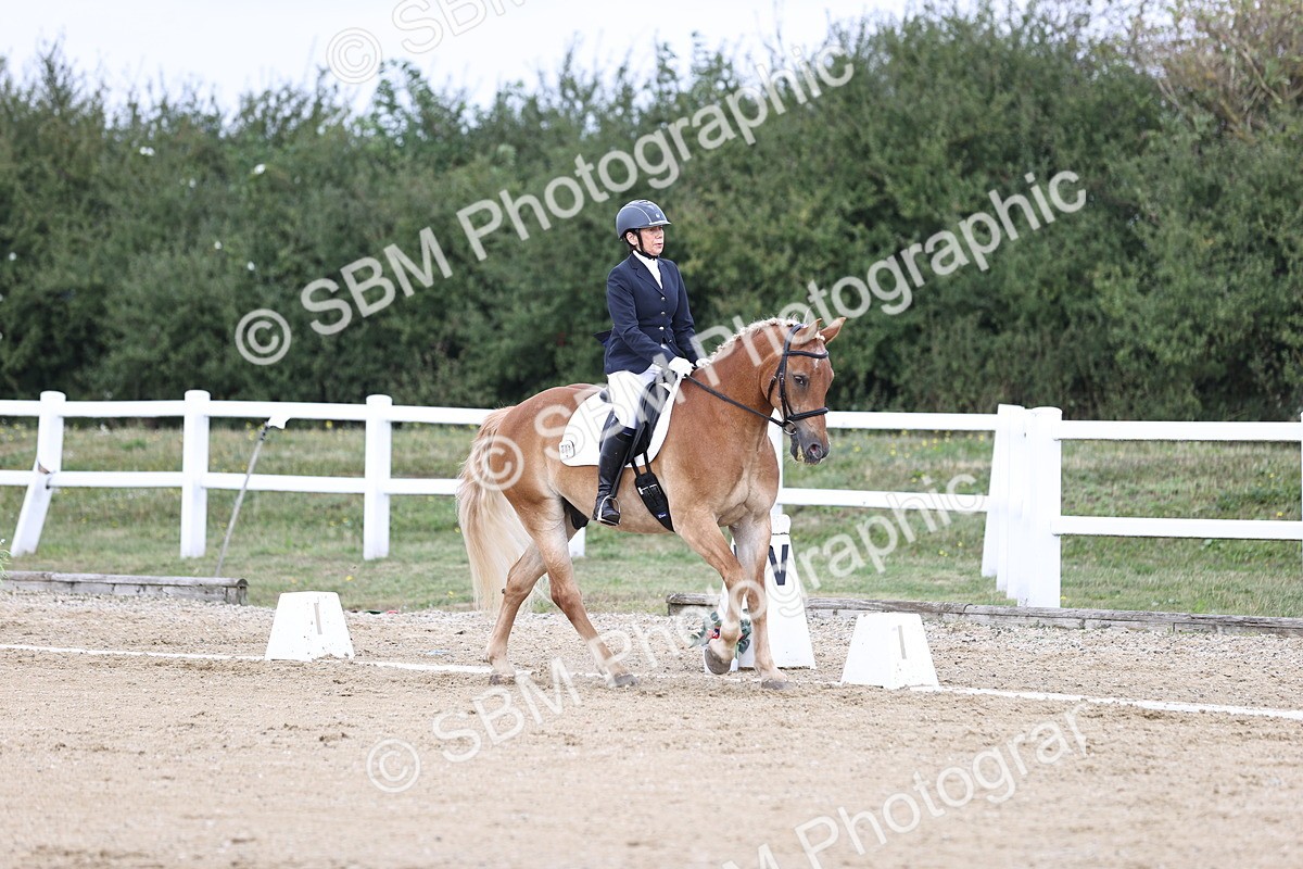 SBM_016770 - Class 14 Novice 23 - 11.53-12.56