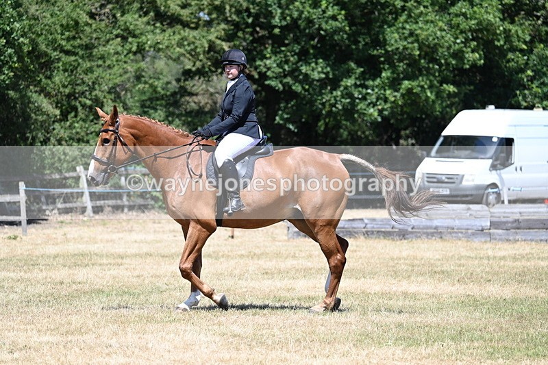 WJ7_2916 - Class 7 Riding Club Show Horse