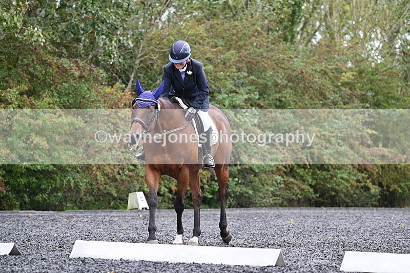 WJ7_6513 - Time 14:49 to 15:14