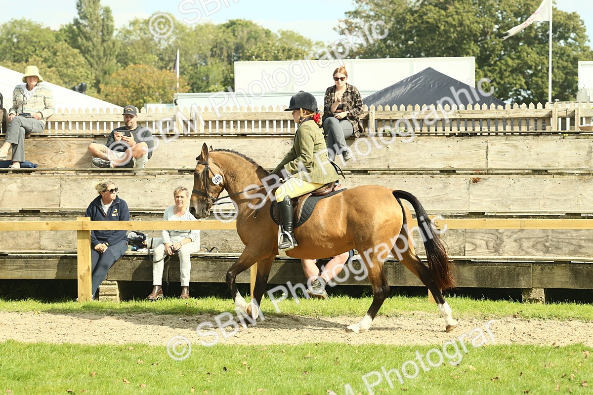 SBM_68880 - S58 - Mini Show Cob Ridden