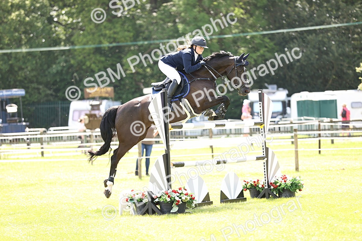 SBM_03981 - Class 201 - British Horse Feedds Speedi Beet HOYS Grade C