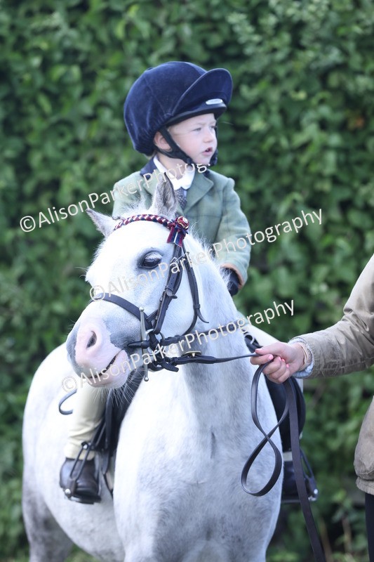 20250831-2705 - Class 17 - Lead Rein Pony