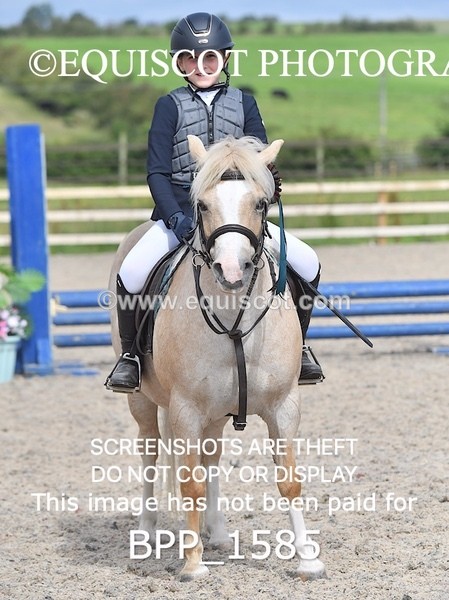 BPP_1585 - DERBY CLASS 3 - 40CM