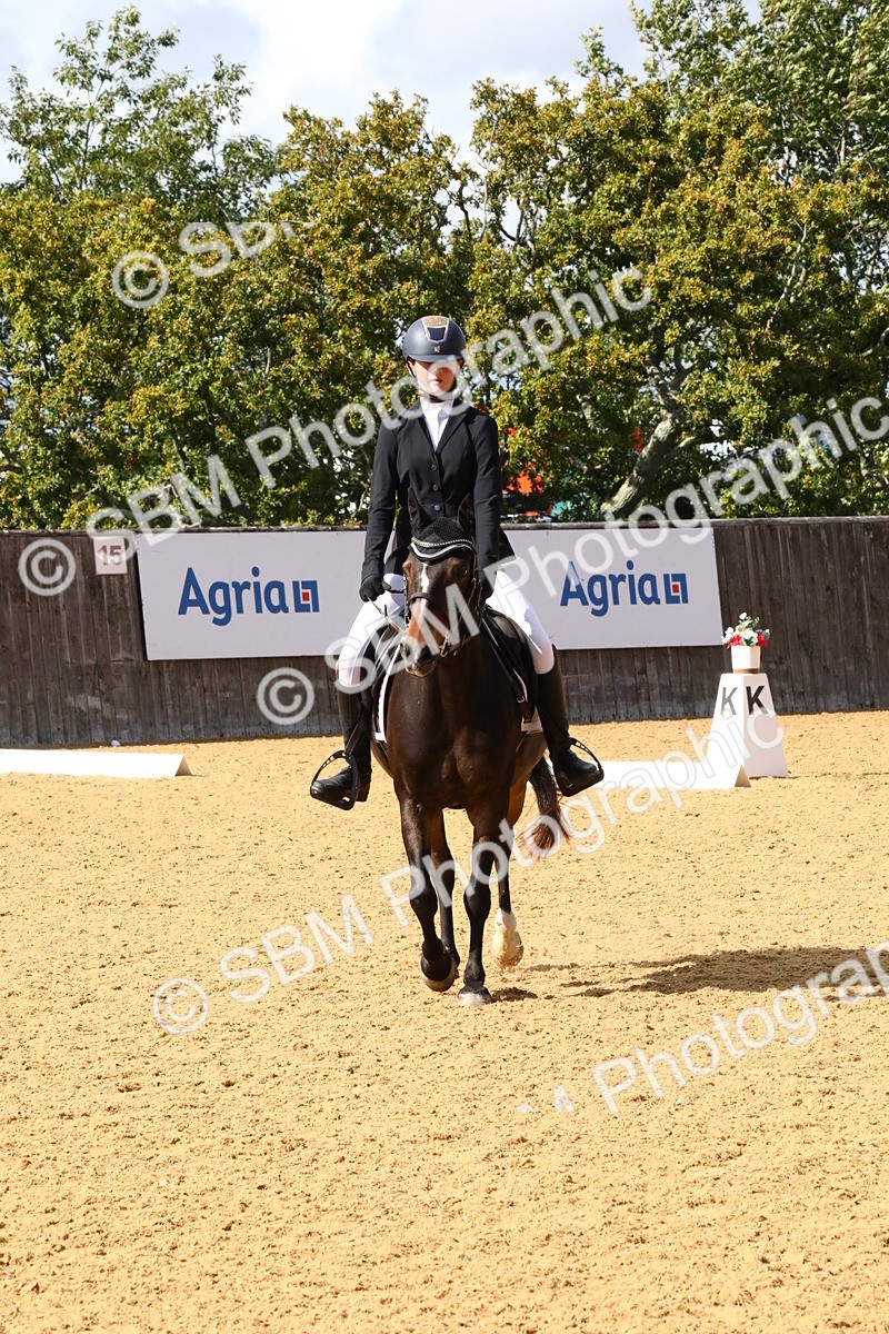 SBM_23548 - D5 - Small Tour Championshop Intro 2