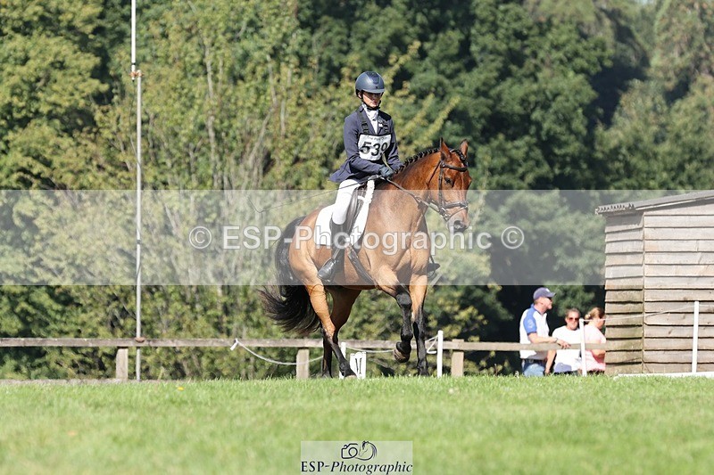 250823A-105156-27819 - Arena D