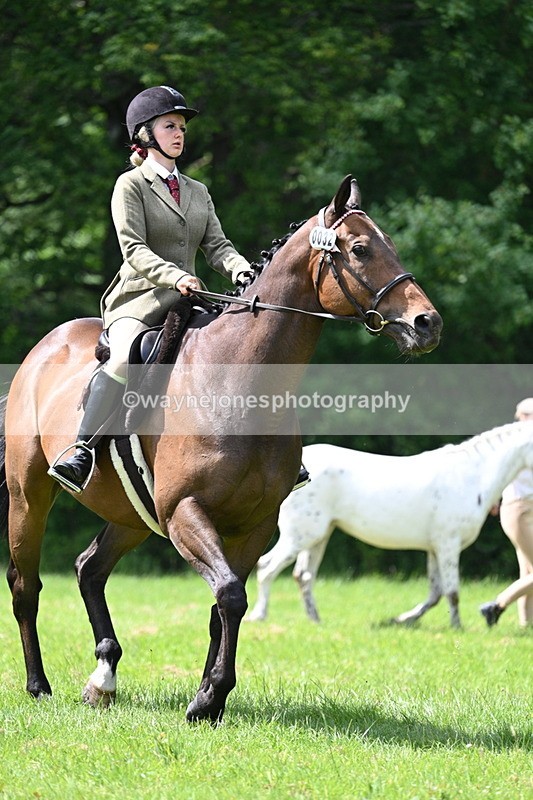 WJ7_1616 - Class 11 Condition & Turnout