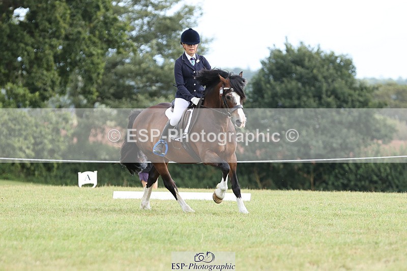 240824X-132228-27299 - D80 Section G and H 12.00 to 13.30