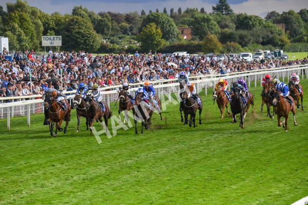 260823-Race 5-Summerghand-Albasheer-0751 - Race 5 Sky Bet Constantine Handicap