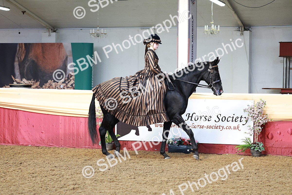 SBM_13422 - Class 104 - Ridden Costume - Astride Junior