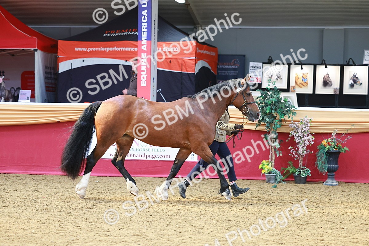 SBM_04185 - Class 9R - IH Pre-Vet