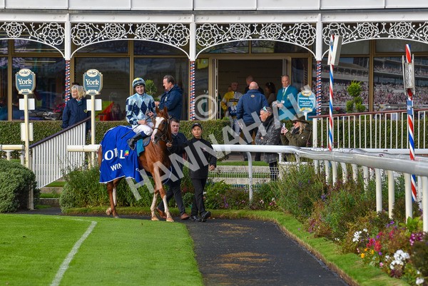 141023-Race 2-Whiskey Pete-0789 - Race 2 1.50pm Play Coral 'Racing-Super-Series' For Free Nursery Handicap