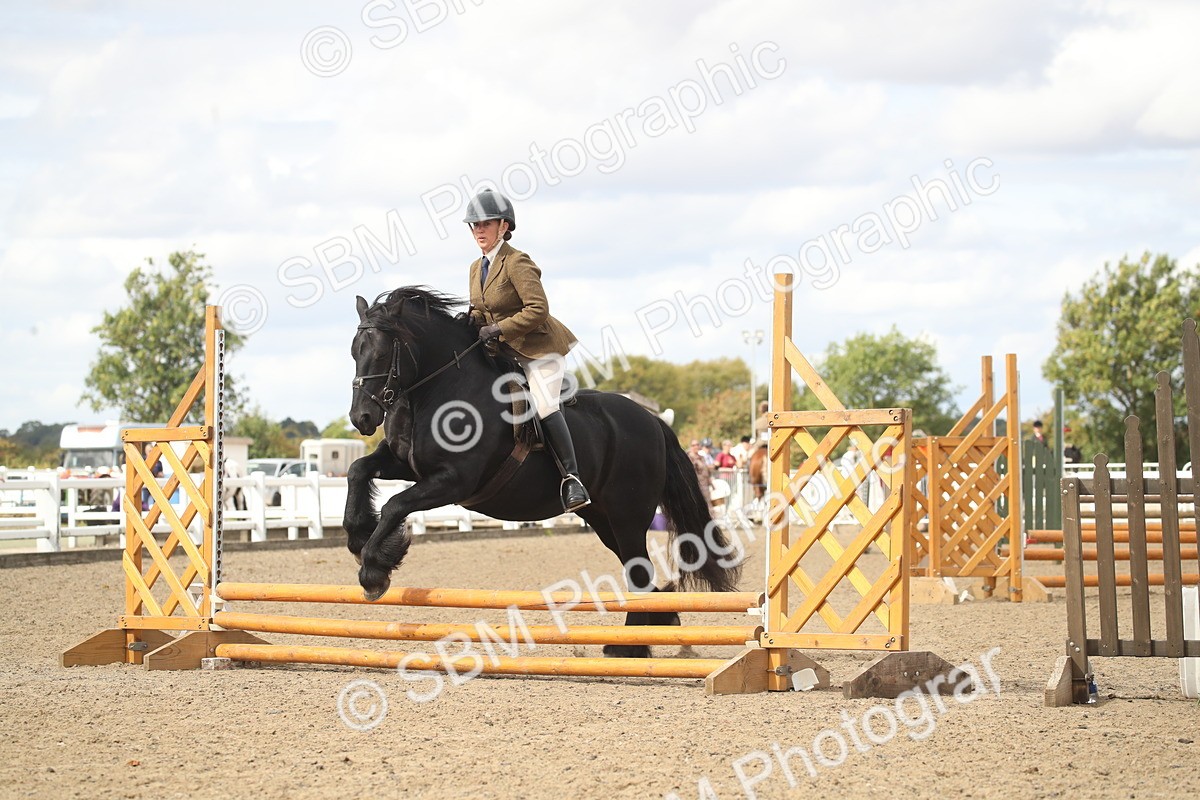 SBM_14539 - Class 505a - M&M Working Veteran - 50cm (15-19)