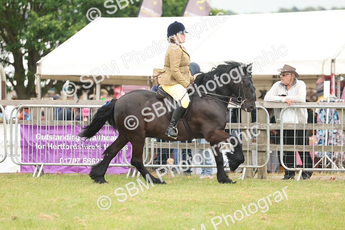 SBM_08950 - Class 78-80 - Ridden M&M Non Welsh Ponies