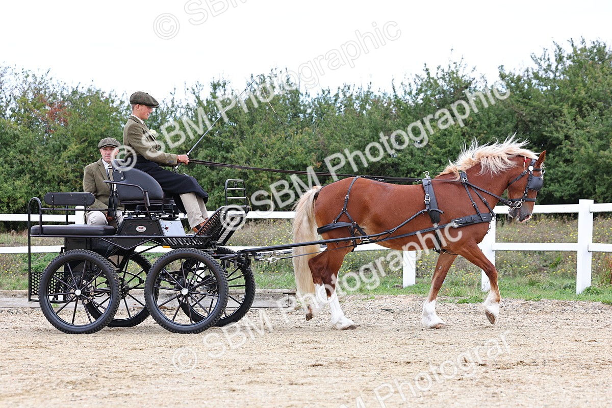 SBM_000372 - Class 4 - Junior Whip