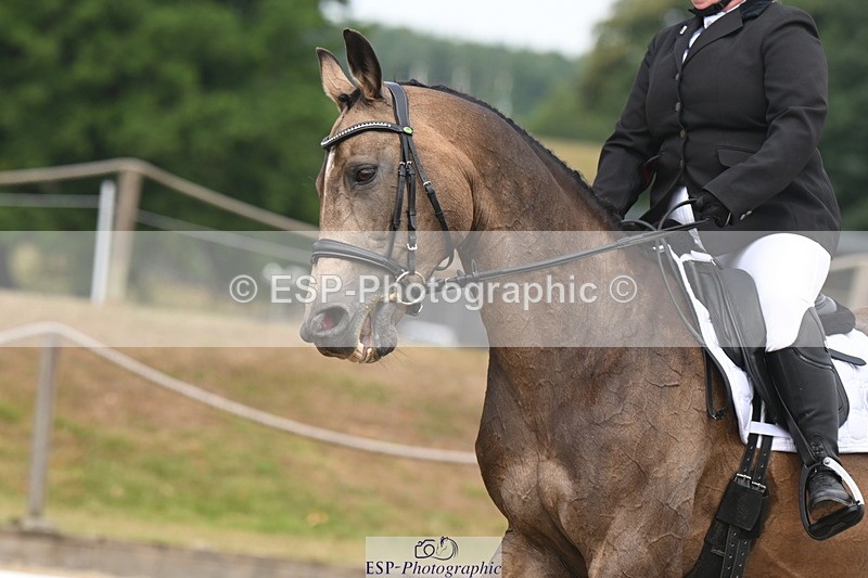 250719A-104317-03987 - 127-Jocelyn.Gilmore-Spring.Lily